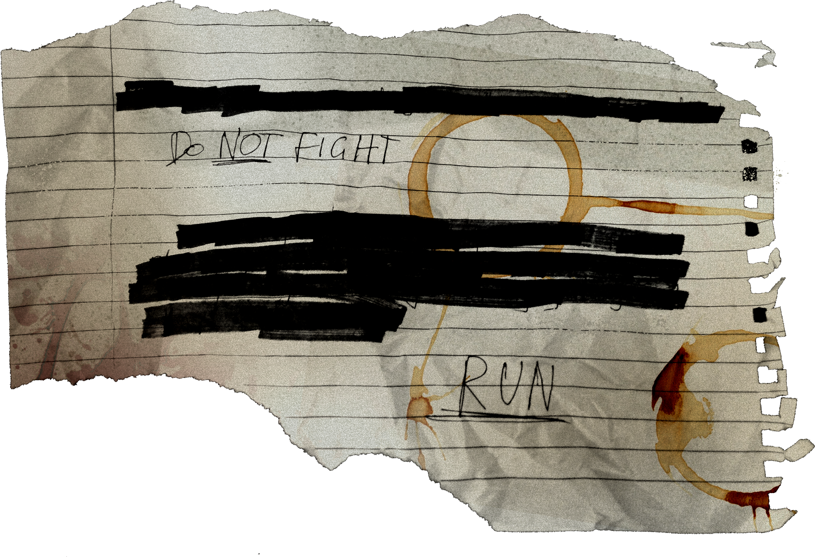 Torn paper with blacked out text, with the only readable words being do not fight run.