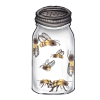 Jar of Bees